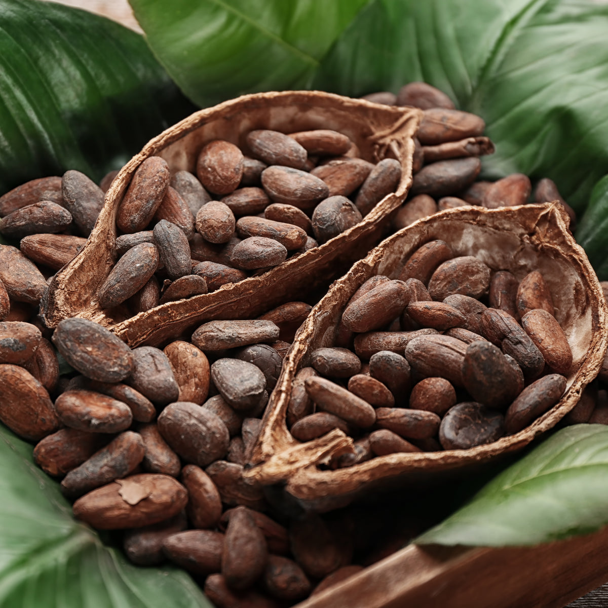 Miel de cacao cru Bilbo • 250 g