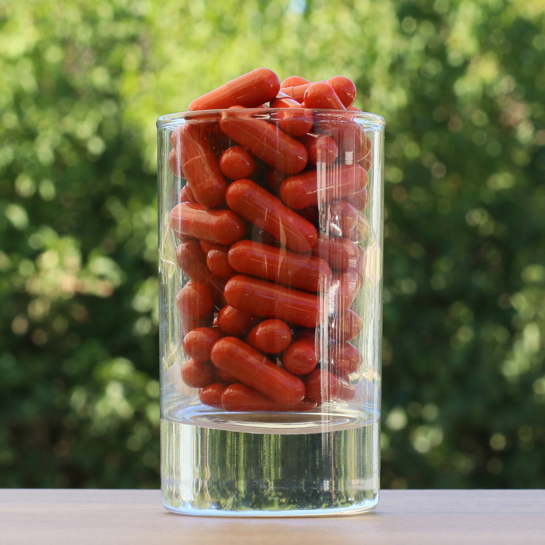 FEMNOX Gelée Royale + Inositol + Acide Folique + Complexe B12 • 90 gélules