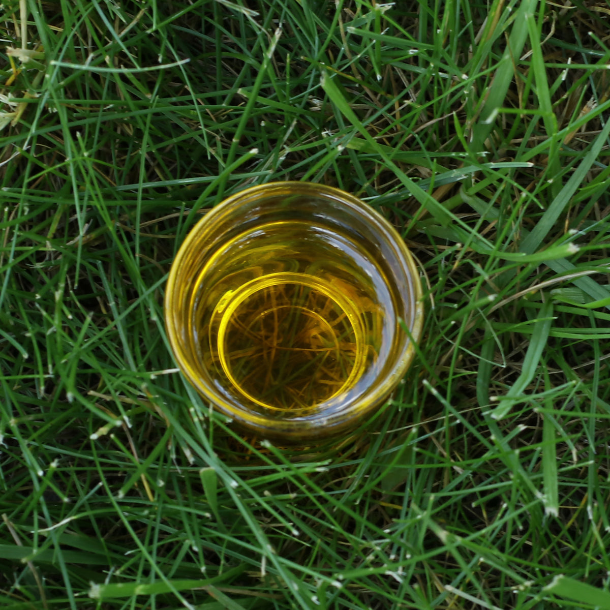 Mannavita Huile de lin hongroise pressée à froid • 250 ml