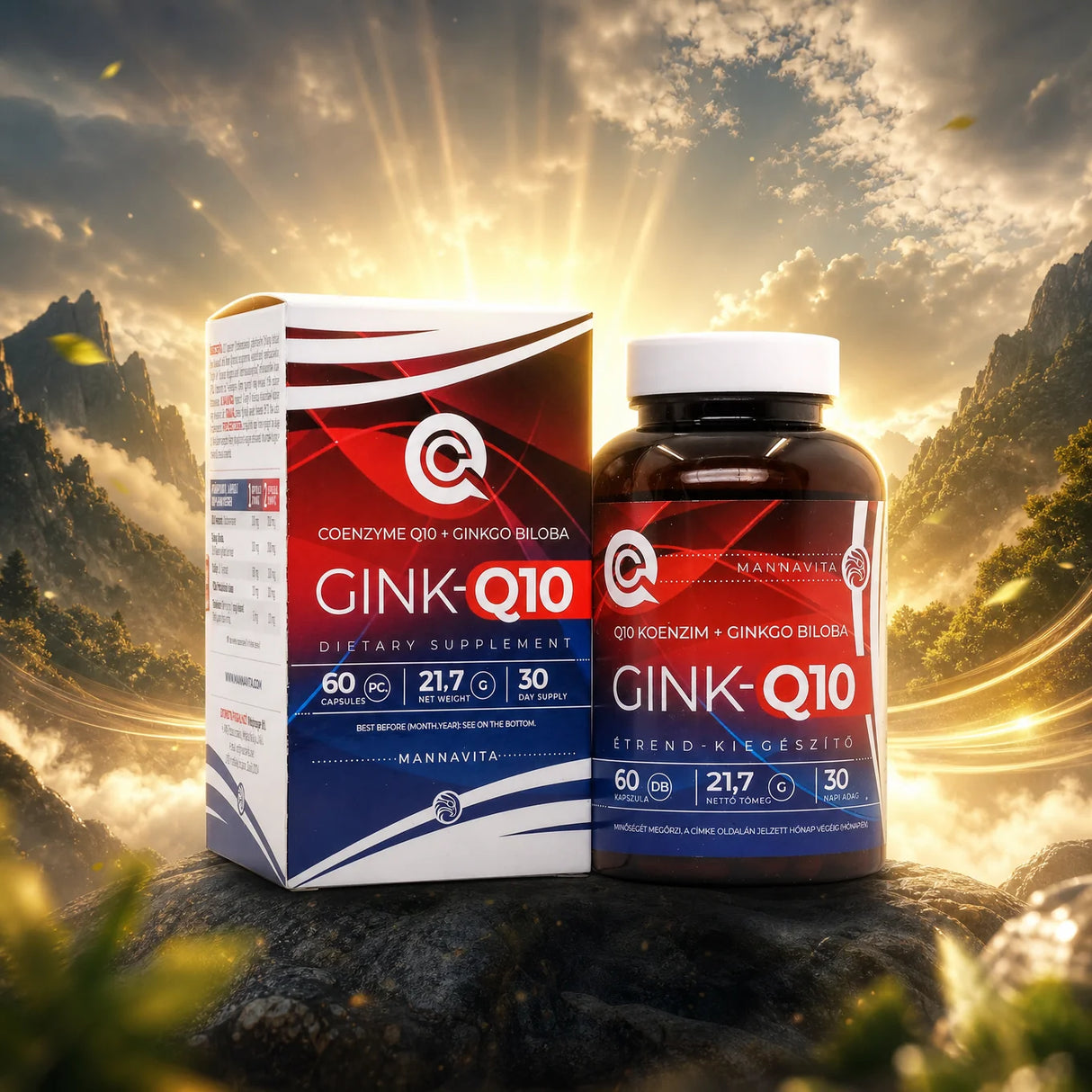 GINK-Q10 • Complexe Coenzyme Q10 + Ginkgo Biloba • 60 gélules
