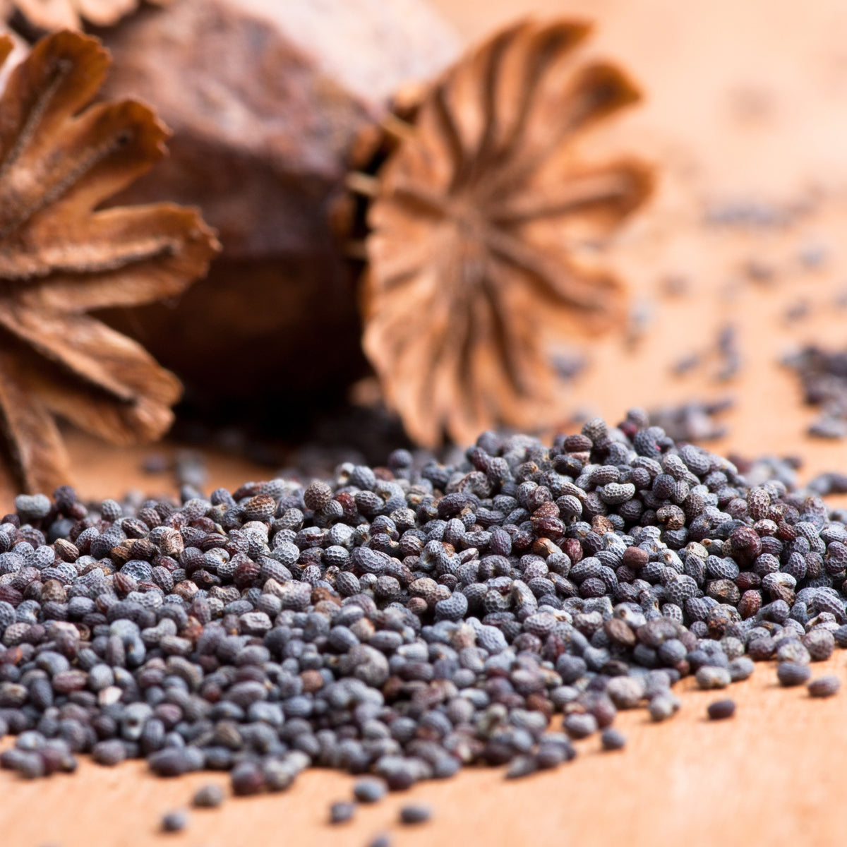 Mannavita Huile de graines de pavot hongroise pressée à froid • 250 ml