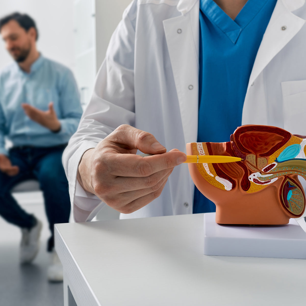 PROSTAX complexe prostate • 60 gélules