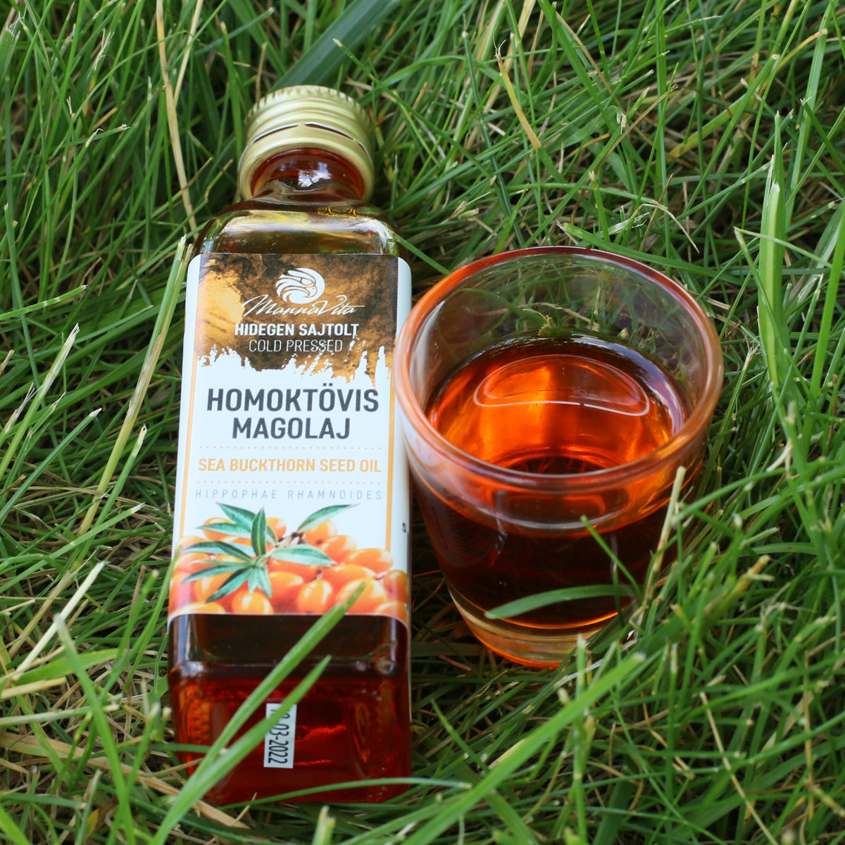 Huile de graines d’argousier pressée à froid hongroise Mannavita • 40 ml