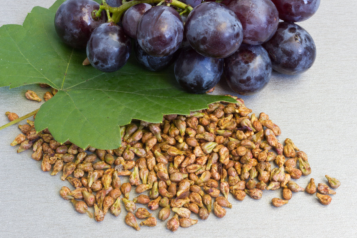 Viniseera Poudre de pépins de raisin • 150 g