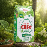CBSé thé de yerba maté • Fruits des bois • 500 g
