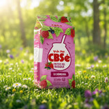 CBSé thé de yerba maté • Fruits des bois • 500 g
