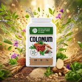 COLONUM capsules de nettoyage du côlon et de restauration intestinale • 100 capsules
