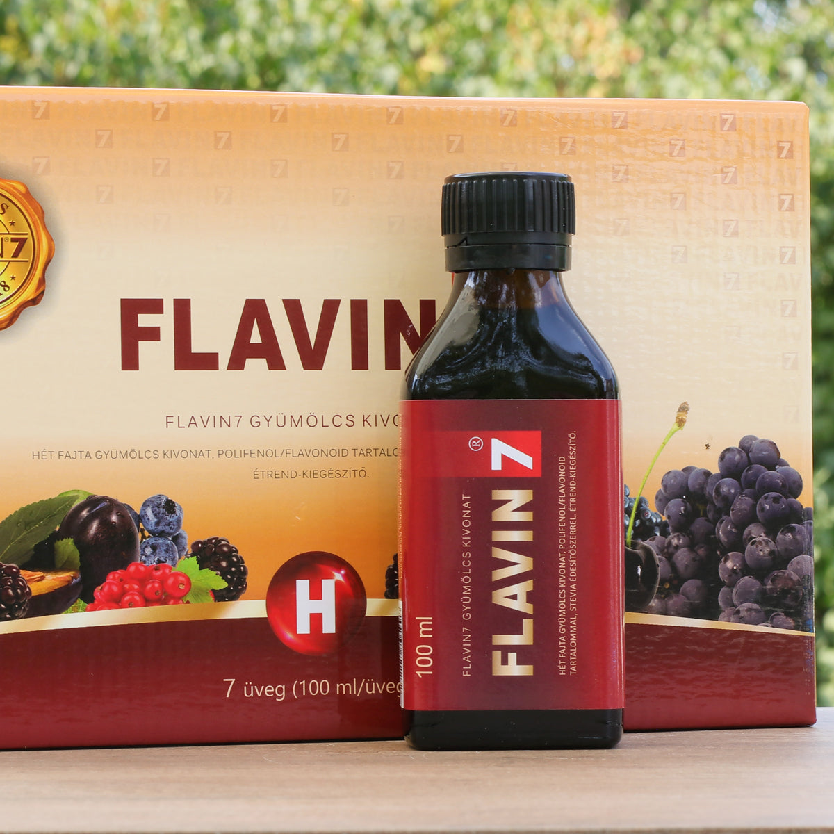 FLAVIN7 Complexe de bioflavonoïdes • 7 x 100 ml