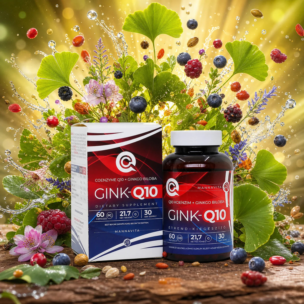 GINK-Q10 • Complexe Coenzyme Q10 + Ginkgo Biloba • 60 gélules