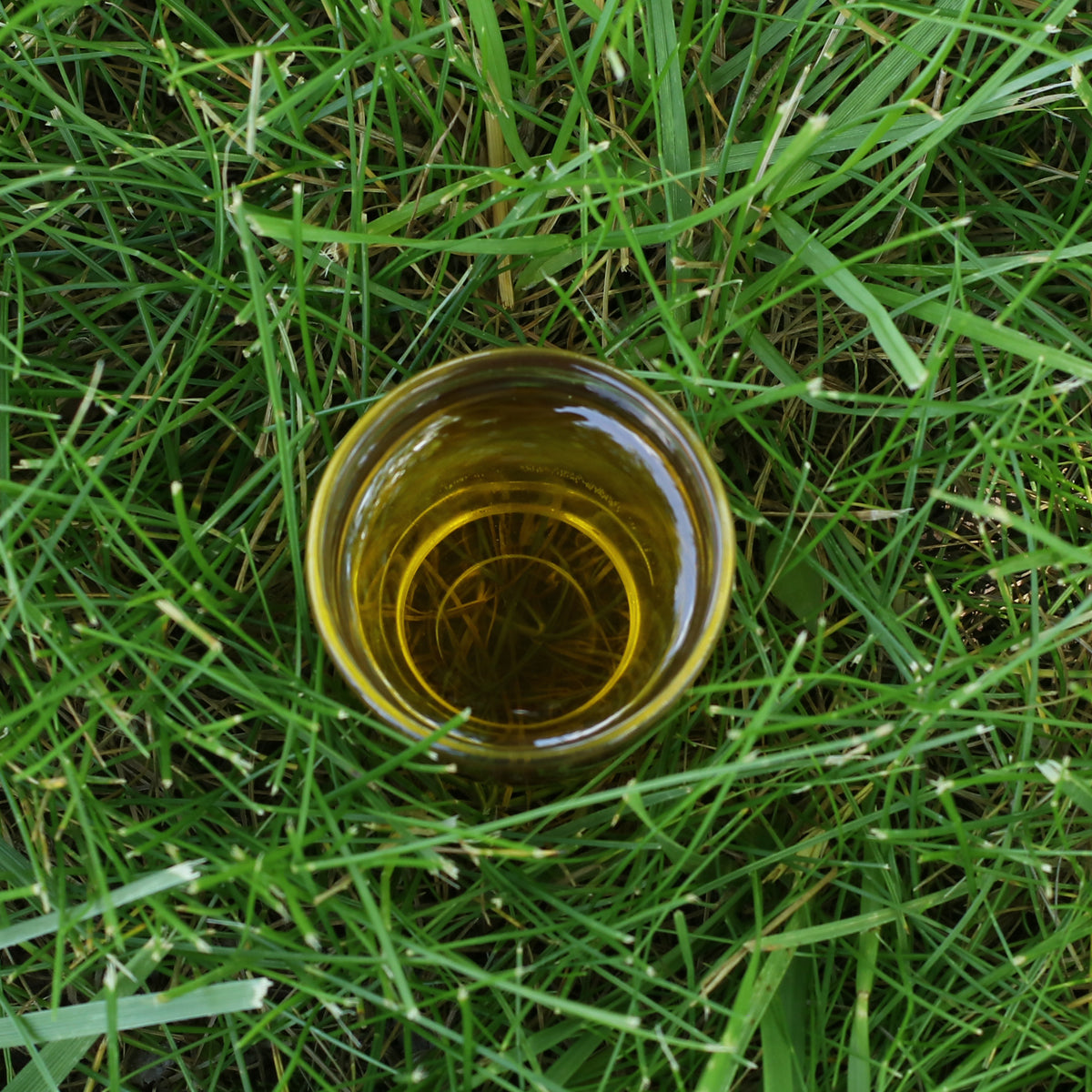 Mannavita huile de pépins de raisin hongroise pressée à froid • 250 ml