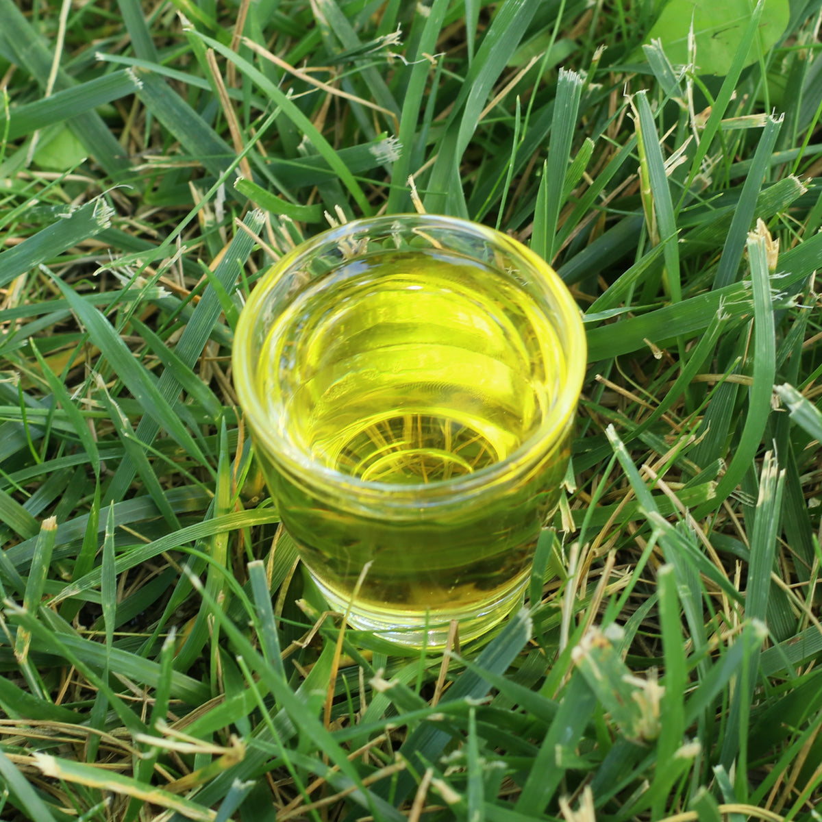 Mannavita Huile de graines de chardon-Marie hongrois pressée à froid • 250 ml