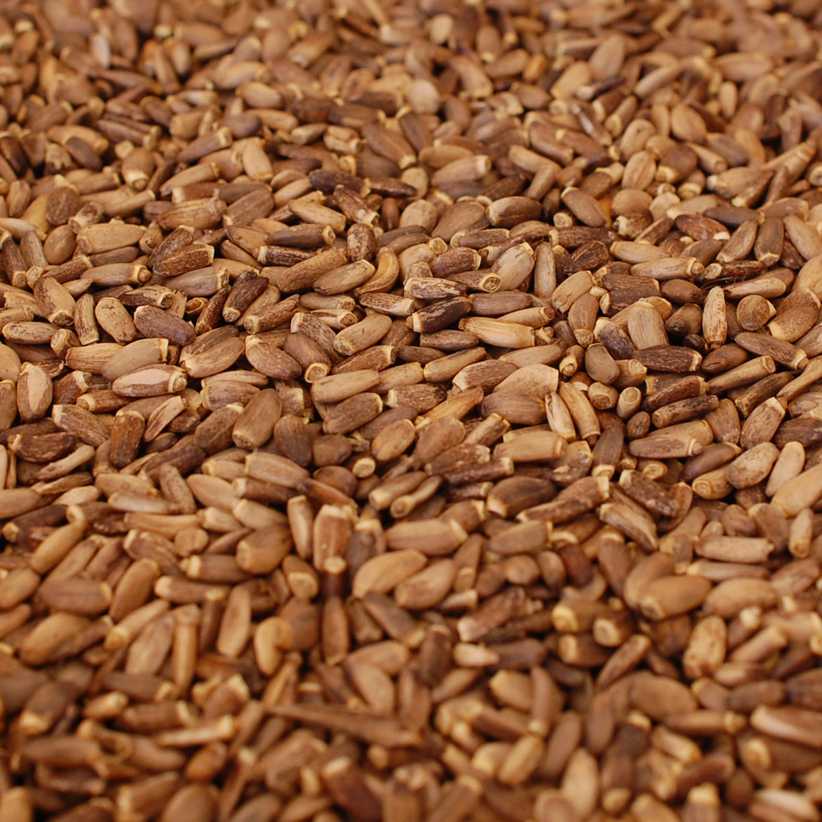 Mannavita Huile de graines de chardon-Marie hongrois pressée à froid • 250 ml