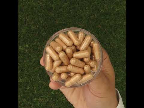 GINK-Q10 • Complexe Coenzyme Q10 + Ginkgo Biloba • 60 gélules