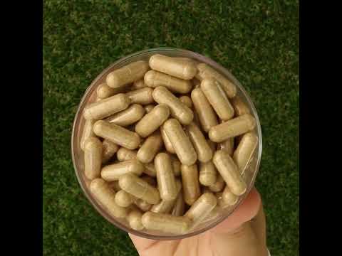 Ashwarax pour le soulagement de l'anxiété, des crises de panique et de l'insomnie • 90 gélules