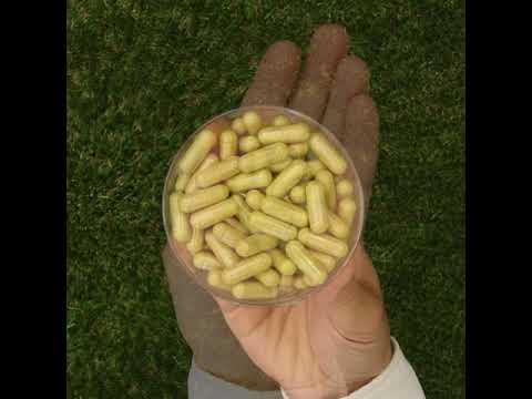 ENZIMA+ complexe d'enzymes digestives avec Bétaïne HCL • 90 gélules