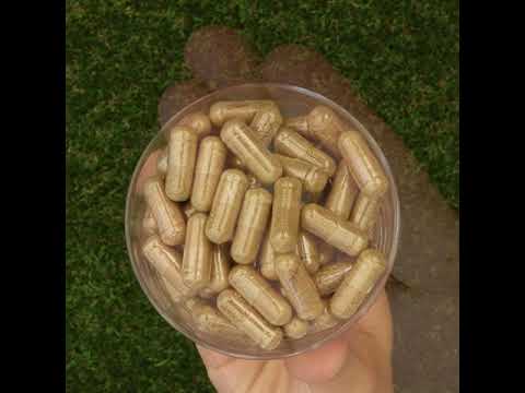 Complexe HEPADEX régénérant du foie et améliorant la santé hépatique • 60 gélules