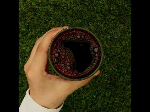 Mannavita Jus de Myrtille 100% pur pressé • 500 ml