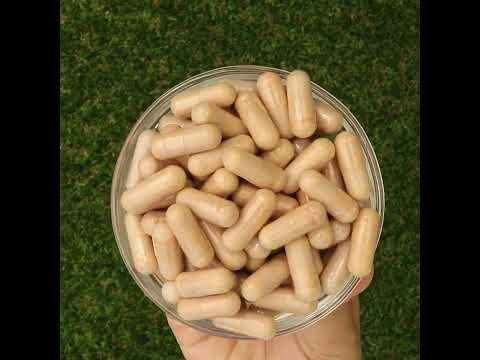 PrOcum complexe fortifiant pour les Yeux • 60 capsules