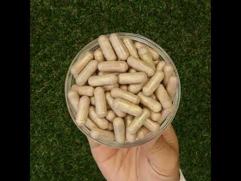 Mannavita Complexe de Vitamine C • 250 mg bioactif • 60 gélules