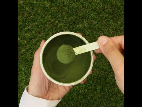 Mannavita poudre de jus d'herbe de Blé cru • sans gluten • 140g