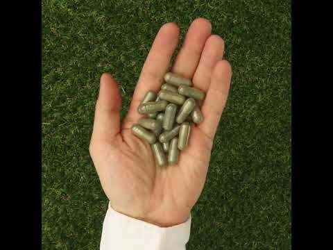 IMUNEX complexe d'algues • avec 5 algues • 180 capsules