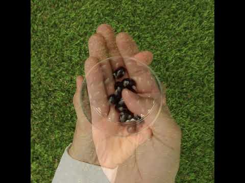 MegaKRILL, 1500 mg huile de krill + huile de poisson • 90 capsules