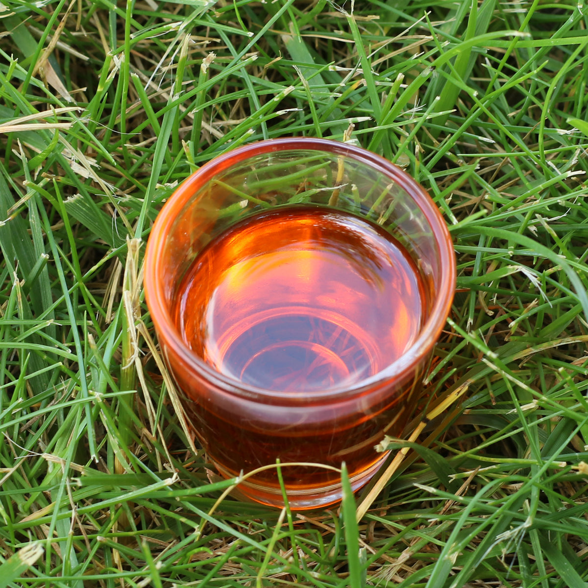 Huile de graines d’argousier pressée à froid hongroise Mannavita • 40 ml